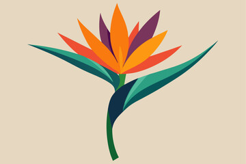 Tropical Bird Of Paradise Flower Against Soft Gradient