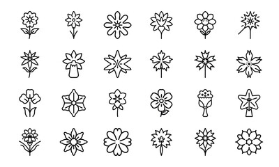 Bundle Aster Icon Silhouettes Style White Background 6