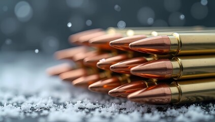 Ammunition rounds in the snow with a shallow depth of field