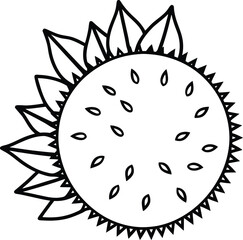 Spiky Fruit Line Art Vector Illustration, Durian or Exotic Fruit Outline