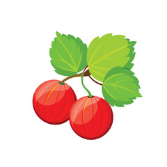 gooseberry bushes with stem, vector illustration of fruit-bearing shrubs for gardening, culinary, and botanical themes