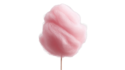 Classic pink cotton candy puff with airy, cloud-like texture on a white paper stick, shown from a direct front view. Light and fluffy appearance with delicate spun sugar strands