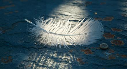  White bird feather on old stone textured dark surface illuminated by sun