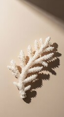 Close-up of a white coral branch casting a shadow on a beige background, highlighting the beauty of ocean life and nature. Perfect for various design projects.