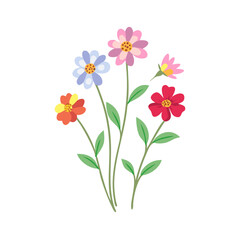 bouquet of pink flowers