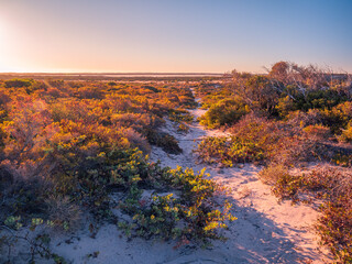 Coastal Scenery in Afternoon Light
