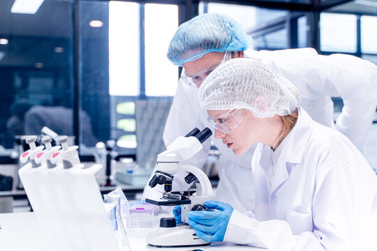 Two scientists working together and woman scientist looking at science microscope medical test and research biology chemistry in the laboratory.