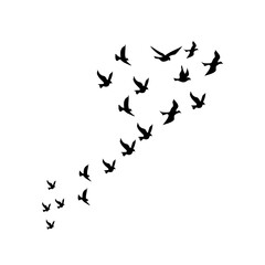 "A vector silhouette set showcasing a flock of birds in flight against a clean white background. Ideal for tattoos, nature-inspired artwork, and minimalist design, this collection captures the grace a