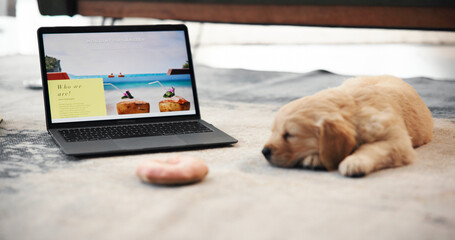Laptop, screen and dog on floor in home for online booking, research and website for planning trip. Tired, sleeping and Labrador puppy by computer for pet friendly getaway, travel and vacation