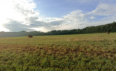 Rural Landscape with Hay Bales and Forest Backdrop Under a Cloudy Sky. Serene Countryside