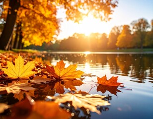 Autumnal Reflections: Golden sunlight illuminates a tranquil lake, mirroring vibrant fall foliage and fallen leaves.