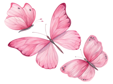  pink butterflies in watercolor style isolated on background white