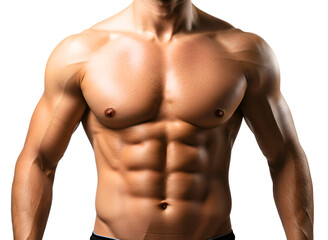 Muscular male torso with defined abs isolated on transparent background