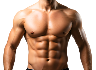 Muscular male torso with defined abs isolated on transparent background