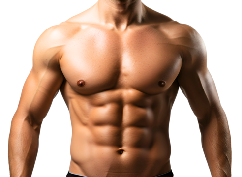 Muscular male torso with defined abs isolated on transparent background
