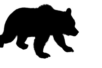  Bear with Copy Text Space. Powerful Wildlife Animal Element for Nature, Forest, and Adventure-Themed Designs. PNG File