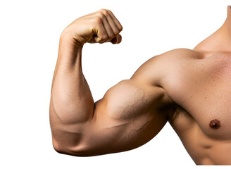 Muscular bicep flexing isolated on transparent background