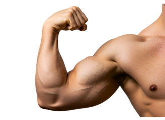 Muscular bicep flexing isolated on transparent background