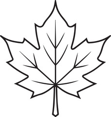 Obraz premium Maple leaf outline vector illustration line art
