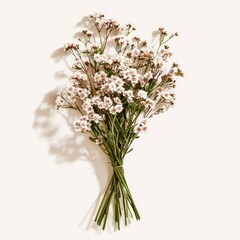 Obraz premium Delicate White Flowers Bouquet on White Background