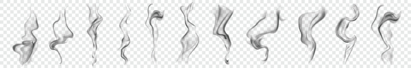 Curly Smoke Trail Vector on Transparent Background