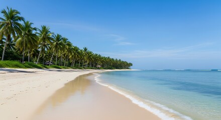 Beach with Palm Trees and Clear Ocean Water