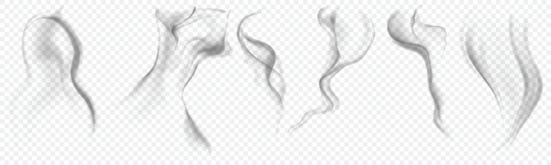 Thin Smoke Swirl Vector on Transparent Background