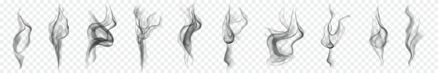 Realistic Curling Smoke Effect Vector on Transparent Background