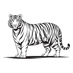 Obraz premium Dynamic Black Tiger Vector in Fierce Attack Pose – Perfect for Bold Logos, Streetwear, and Wildlife Branding. Thank You .