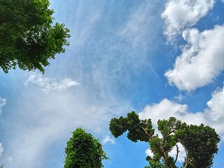 Clear sky in summer - close up 