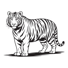 Fototapeta premium Dynamic Black Tiger Vector in Fierce Attack Pose – Perfect for Bold Logos, Streetwear, and Wildlife Branding. Thank You .