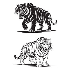 Fototapeta premium Dynamic Black Tiger Vector in Fierce Attack Pose – Perfect for Bold Logos, Streetwear, and Wildlife Branding. Thank You .
