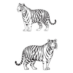 Obraz premium Minimalist Black Tiger Vector Illustration in Various Poses – Perfect for Logo Design, Tattoo Art, and Commercial Use . Thank You .