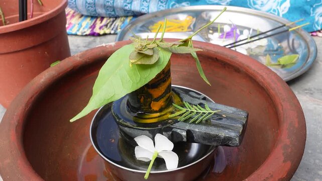 Worshipping Shiva Lingam Pooja on Shravan month at Home