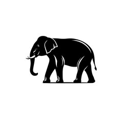 Fototapeta premium elephant vector illustration