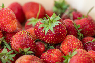 bunch of beautiful ripe strawberries, summer berry, strawberry harvest, beautiful summer picture