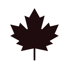 Obraz premium Silhouette of jagged maple leaf minimal nature or seasonal decor icon on white background