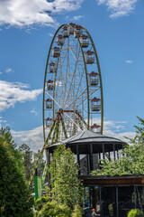 ferris wheel in the park