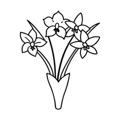 orchid flower isolated on white