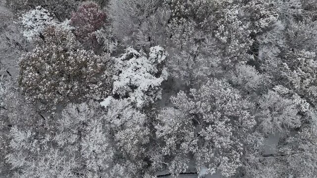 인천광역시 연수구 연수동 원인재 인근의 눈쌓인 아파트 풍경 