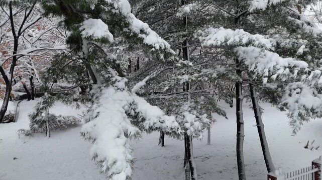 인천광역시 연수구 연수동 원인재 인근의 눈쌓인 아파트 풍경 