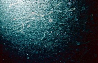 Insect flight patterns at night