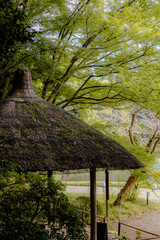 traditional japanese roof in Japanese garden, Koishikawa Korakuen, Tokyo Japan