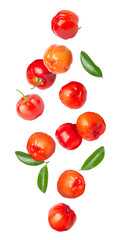 Acerola cherry on transparent background