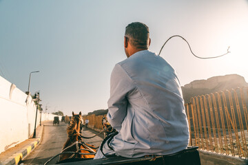 Horse Carriage at Edfu Temple in Morning Light — Egypt