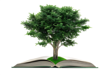  lush green tree grows from the pages of an open isolated on white background PNG, AI GENERATED