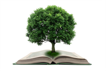  lush green tree grows from the pages of an open isolated on white background PNG, AI GENERATED