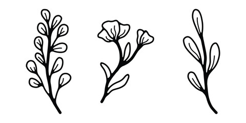 Floral Twig and Leaf Doodles, Black and White Botanical Sketch Icons