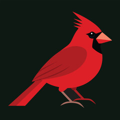 Realistic Northern Cardinal Vector Illustration of a Bird Perched