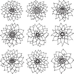 Obraz premium dahlia line art minimalistic flower invited peaceful aesthetic refined charm